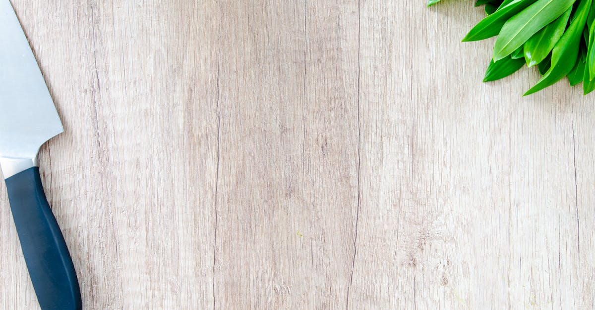 entdecken sie köstliche rezepte, praktische kochtipps und inspirierende ideen rund ums kochen. egal ob einsteiger oder profi – hier finden sie alles zum thema cooking!