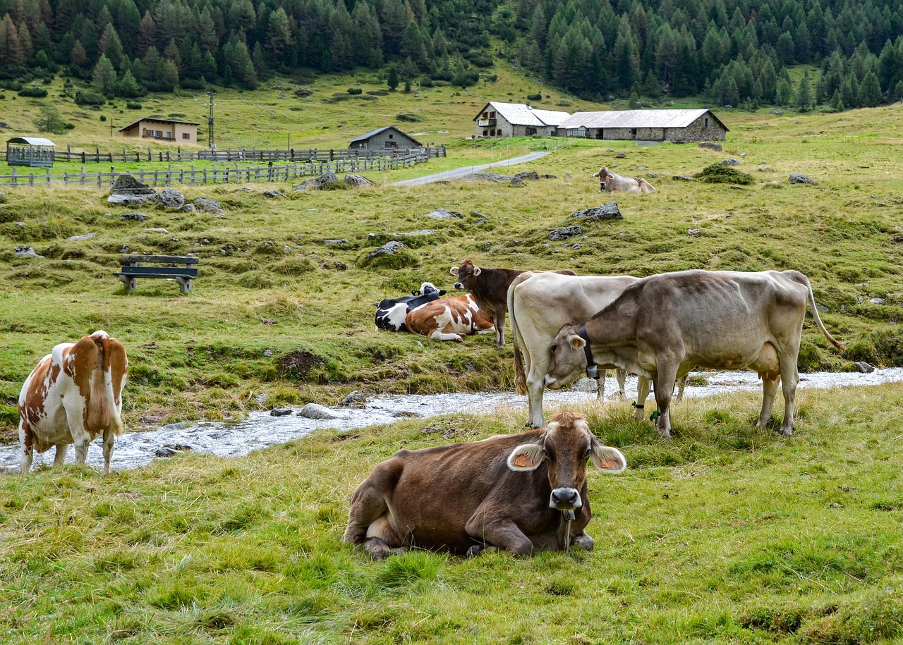 entdecken sie italien: geschichte, kultur, küche und atemberaubende landschaften für unvergessliche reisen.