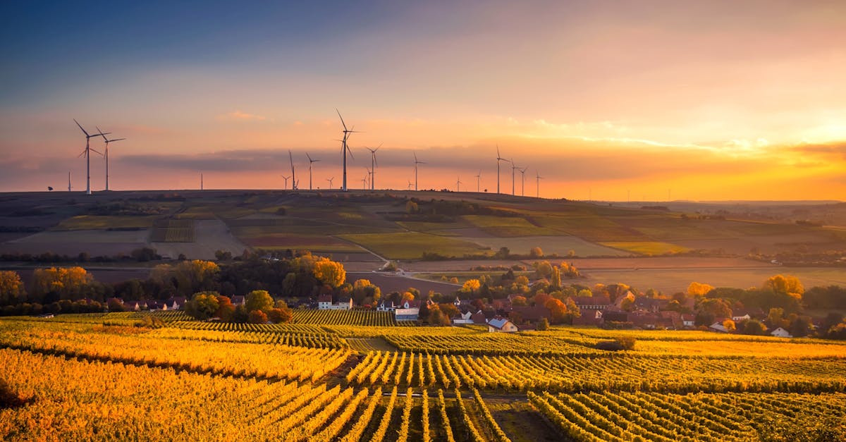 entdecken sie die bedeutung der nachhaltigkeit für unsere zukunft. erfahren sie, wie nachhaltige praktiken die umwelt schützen und gleichzeitig wirtschaftliches wachstum fördern können.