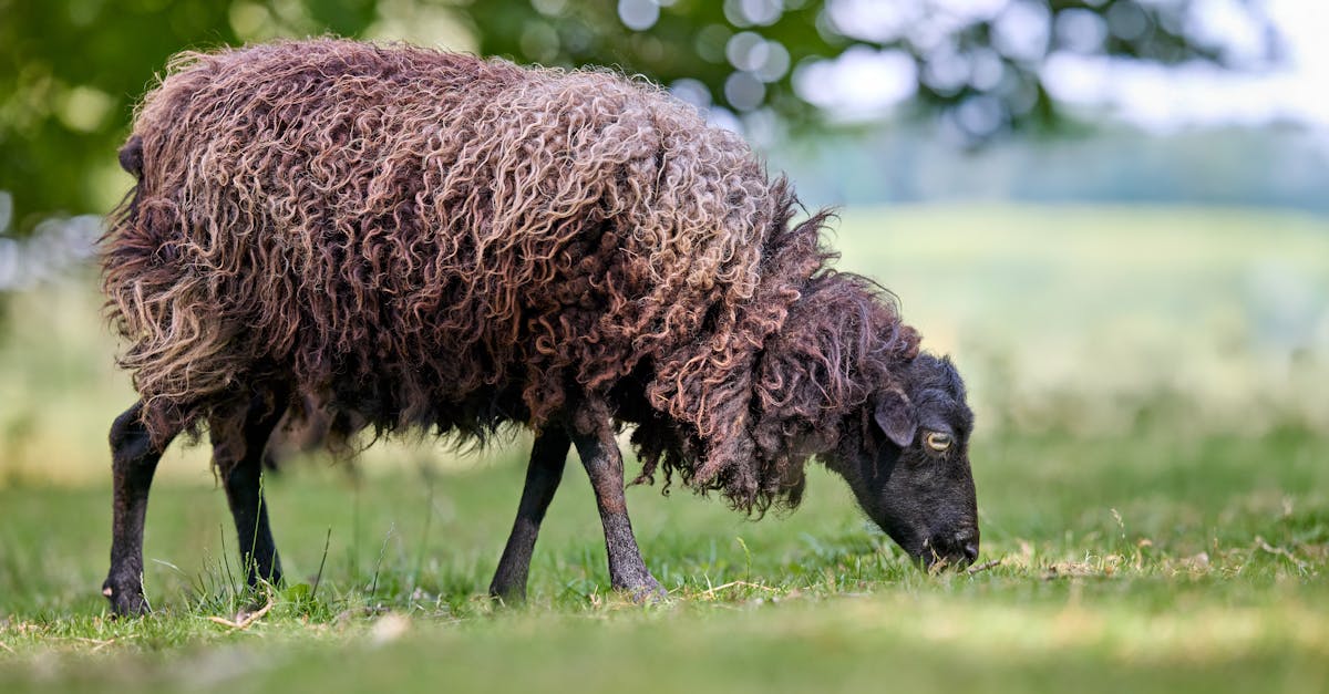 nachhaltige investitionen bieten eine umweltbewusste und ethische möglichkeit, ihr vermögen aufzubauen. entdecken sie, wie sie durch nachhaltige geldanlagen sowohl rendite als auch positive wirkung erzielen.