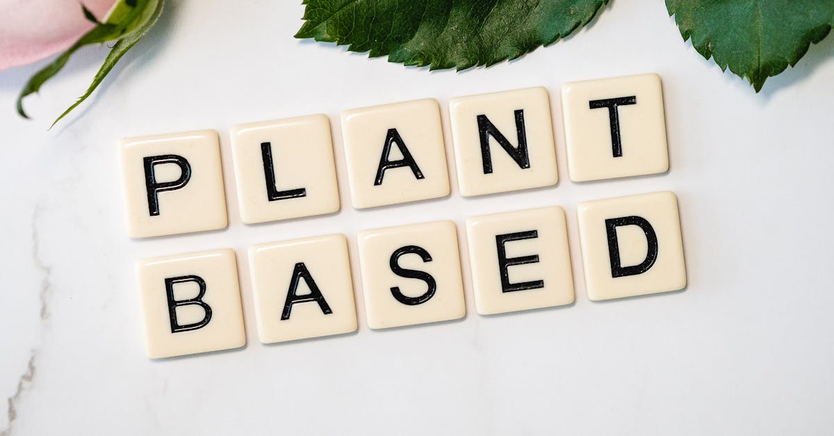 entdecken sie leckere und gesunde vegane rezepte, tipps zur pflanzlichen ernährung und inspiration für einen bewussten lebensstil. ideal für alle, die vegan leben oder einfach nur neue, nahrhafte gerichte ausprobieren möchten.