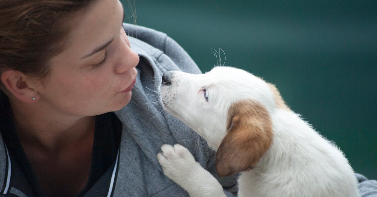 entdecken sie unsere umfassenden tipps und ratschläge zur tierpflege für ihre geliebten haustiere. von ernährung bis gesundheit – alles, was sie wissen müssen, um ihr tier glücklich und gesund zu halten.