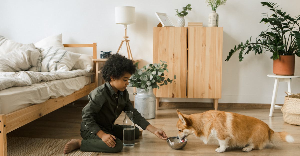 entdecken sie effektive methoden und tipps für das hundetraining. verbessern sie die erziehung ihres hundes mit bewährten techniken, expertentipps und praktischen übungen für jeden hundehalter.