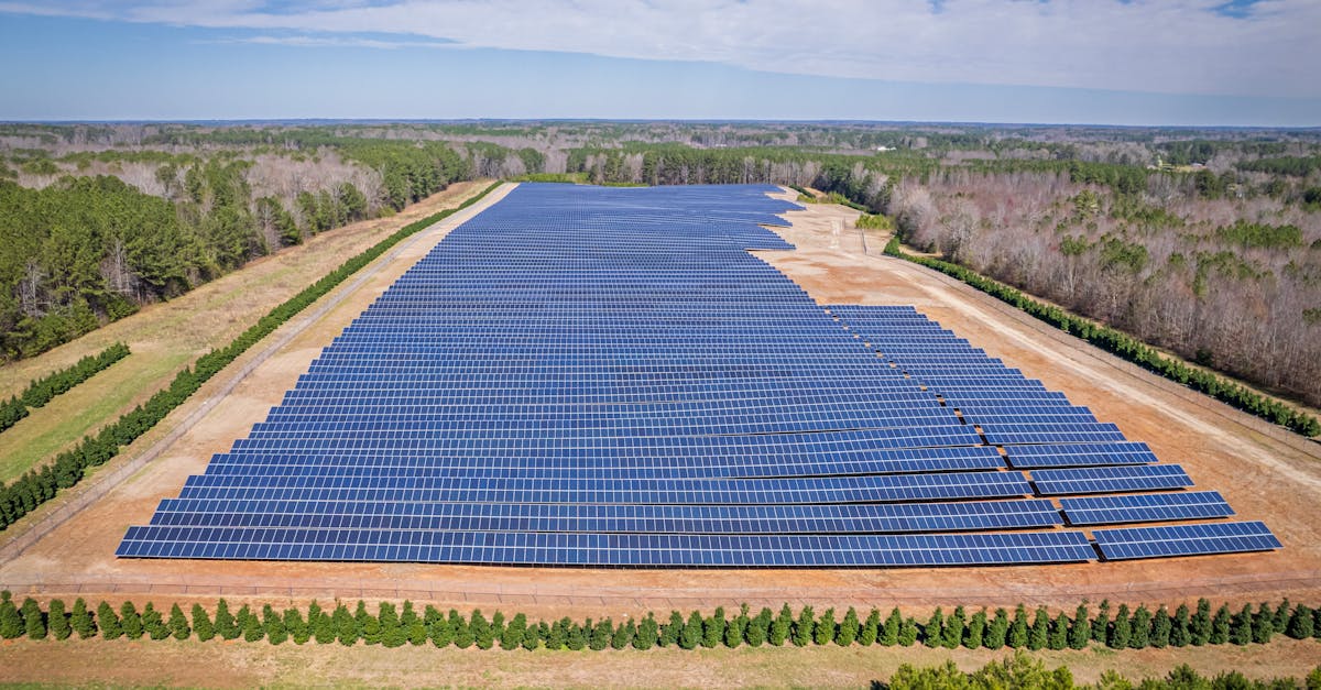 entdecken sie nachhaltige investitionen: erfahren sie, wie sie ihr portfolio umweltbewusst und sozial verantwortlich gestalten können. informieren sie sich über trends und chancen für nachhaltiges investieren.