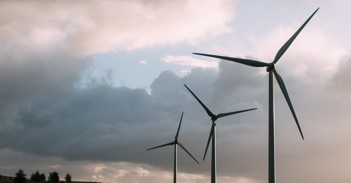 entdecken sie, wie nachhaltige entwicklung wirtschaft, umwelt und gesellschaft in einklang bringt, um eine lebenswerte zukunft zu sichern. erfahren sie mehr über strategien und innovative lösungen für nachhaltiges wachstum.