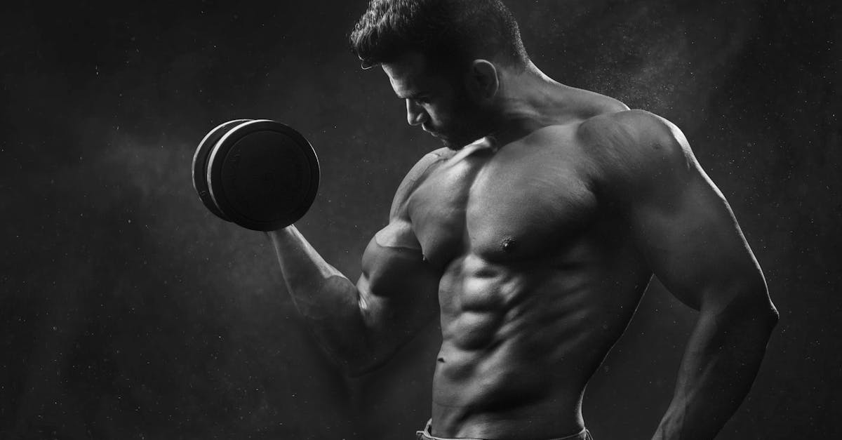 entdecken sie alles rund um fitness: trainingspläne, ernährungstipps und motivation für anfänger und fortgeschrittene. starten sie jetzt ihre reise zu mehr gesundheit und wohlbefinden!