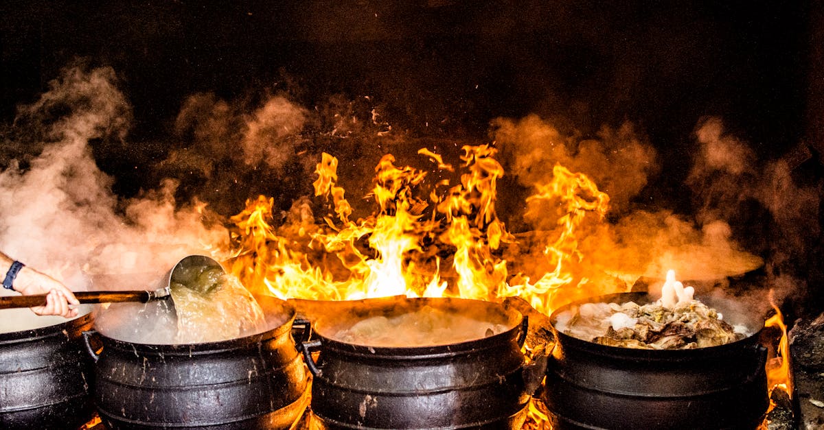 entdecken sie die welt des kochens mit leckeren rezepten, hilfreichen tipps und kreativen ideen für anfänger und profis. lassen sie sich inspirieren und genießen sie kulinarische vielfalt in ihrer küche!