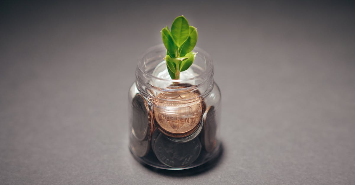 entdecken sie, wie startup capital innovative gründer mit maßgeschneiderten finanzierungslösungen unterstützt. von der idee bis zum wachstum – wir begleiten sie auf ihrem weg zum erfolg.