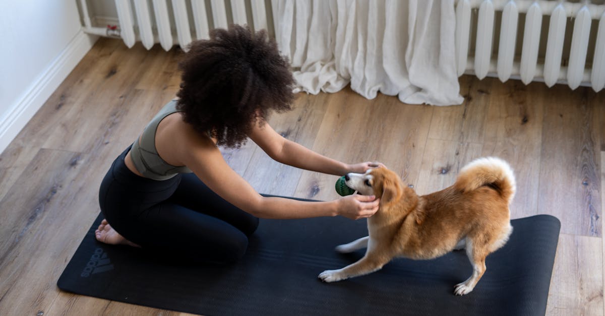 entdecken sie hochwertige produkte für die gesundheit ihres haustiers. von nahrungsergänzungsmitteln bis zur fellpflege – alles für das wohlbefinden ihres tieres an einem ort.