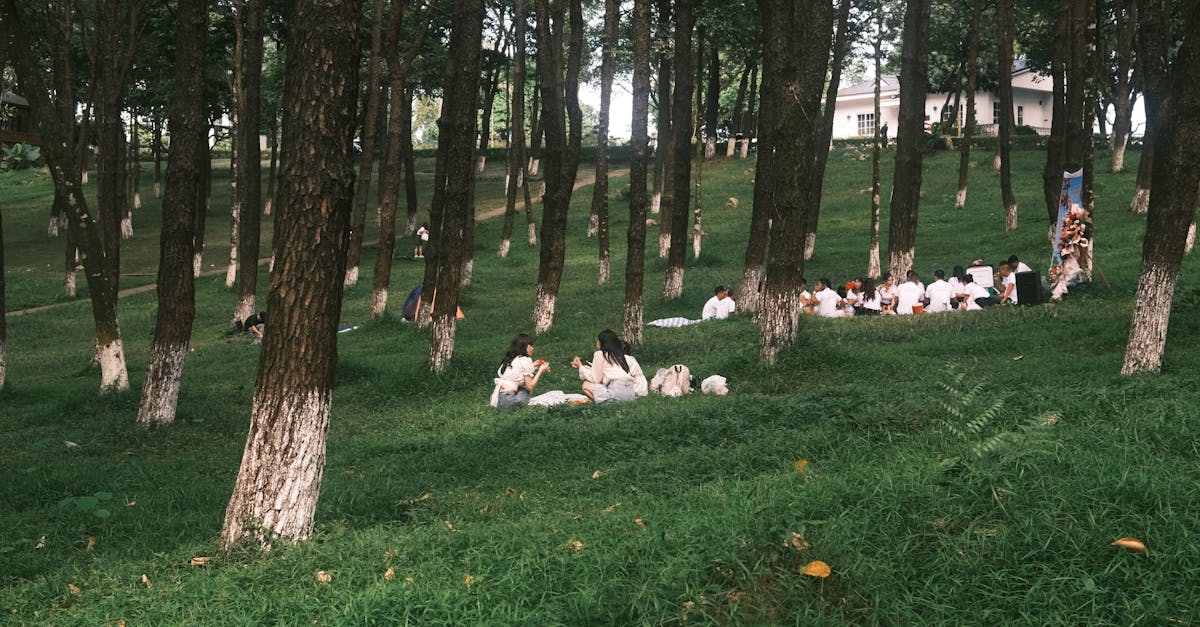 Geselligkeit im Alltag: Tipps für ein geselligeres Leben