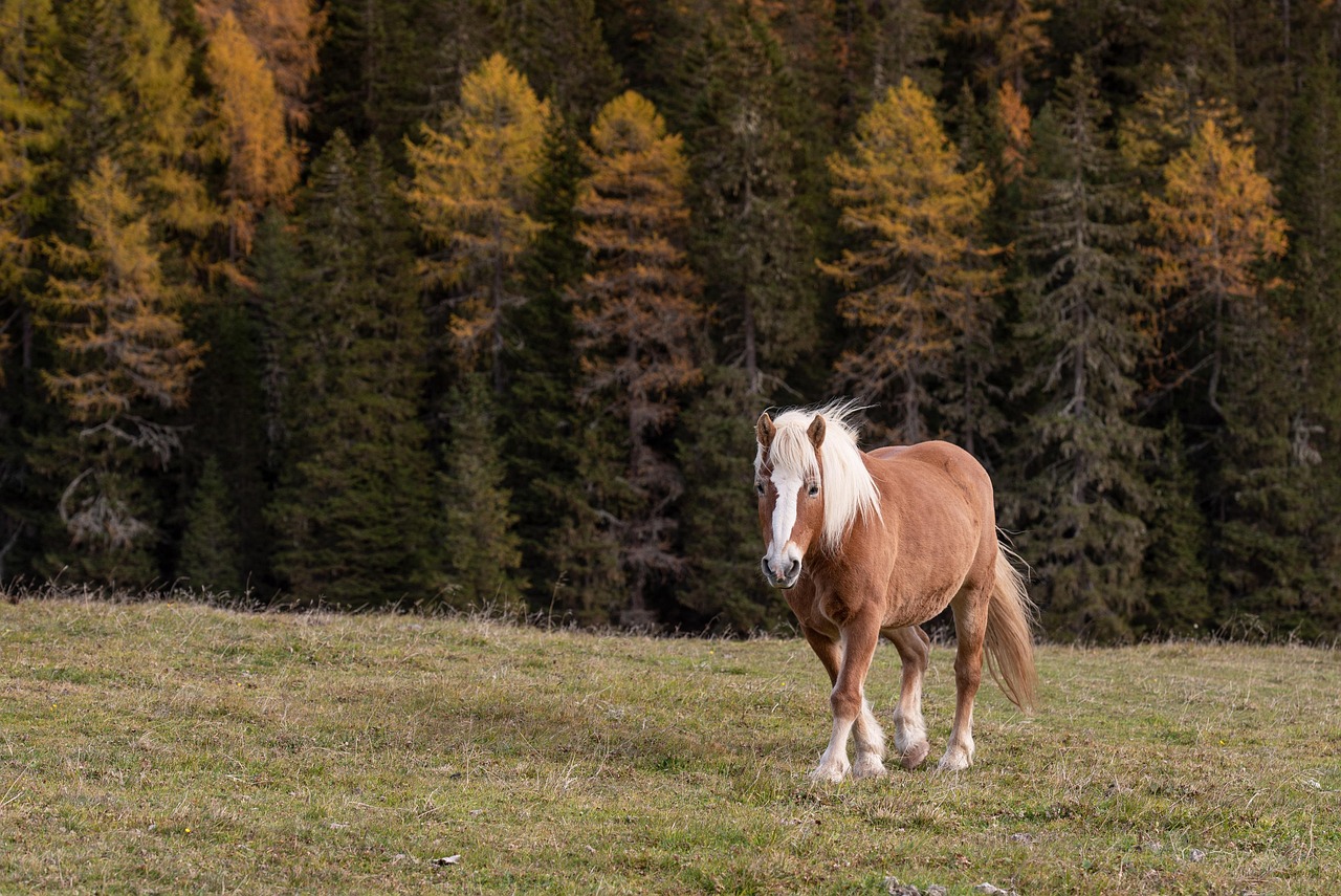 spannende Entdeckungen rund um das Land Italien