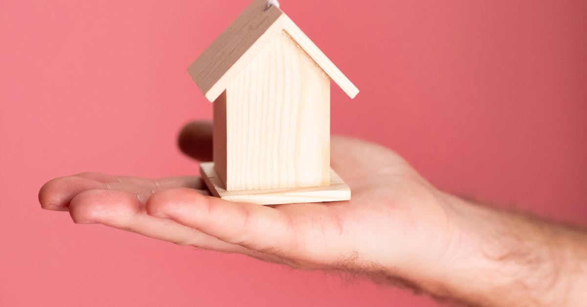 Immobilienmarkt: aktuelle Trends und Entwicklungen in Deutschland