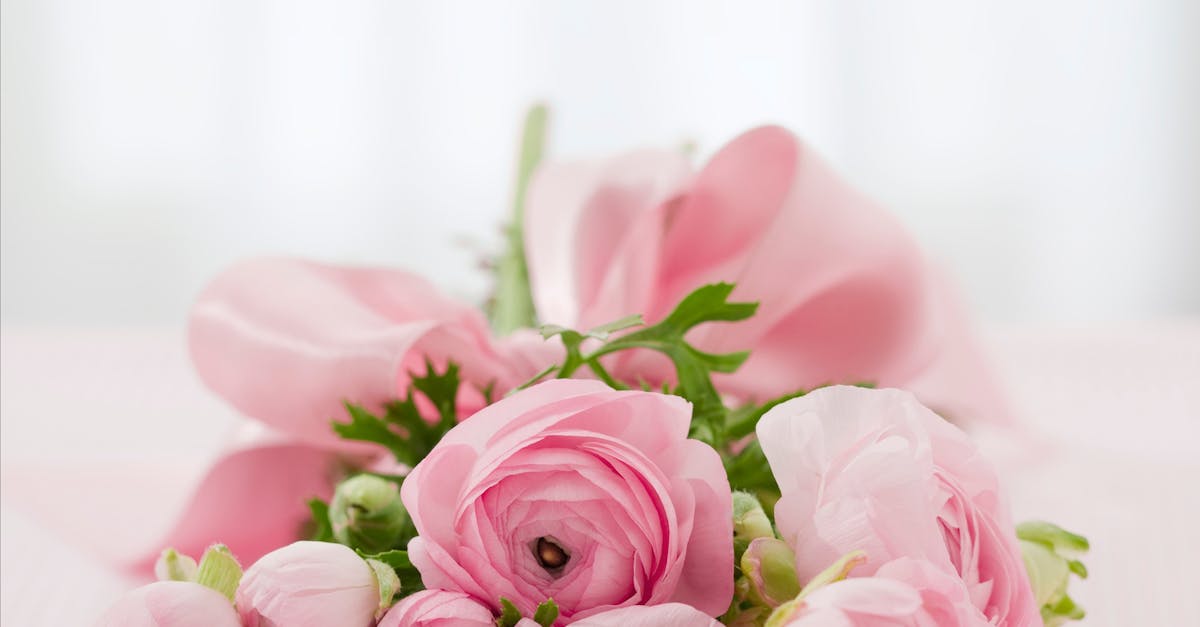 Wohndesign: Tipps für ein harmonisches Zuhause