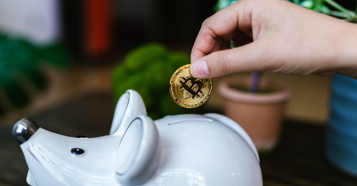 Finanzielle Bildung: Tipps und Strategien für eine bessere finanzielle Zukunft