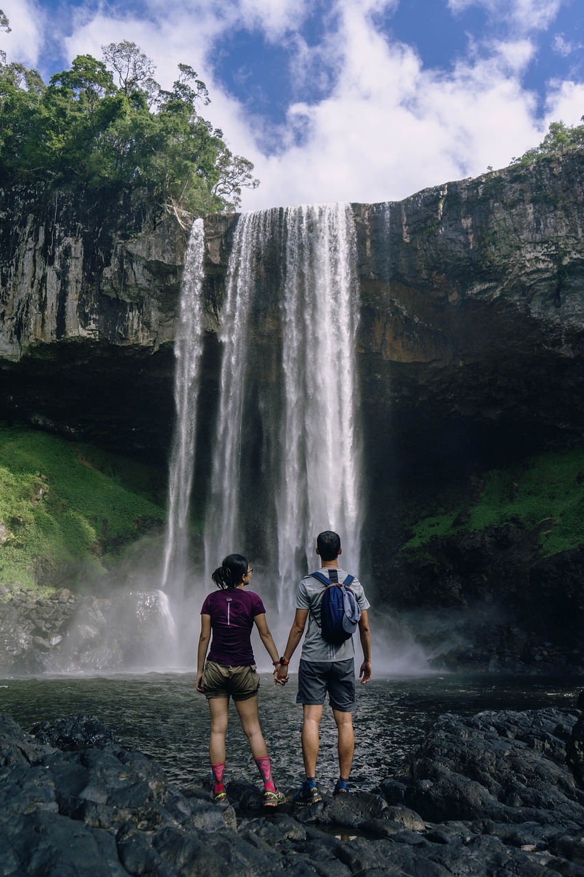 Reisen mit Haustieren: Praktische Tipps