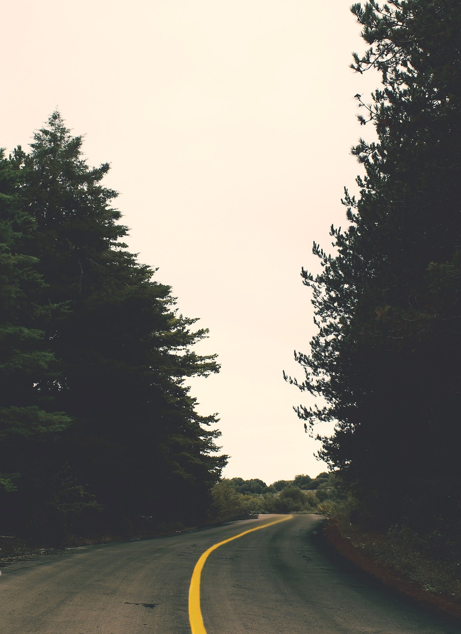Unvergessliche Roadtrip-Erlebnisse in Westkanada – Insider-Tipps von Reisebloggern