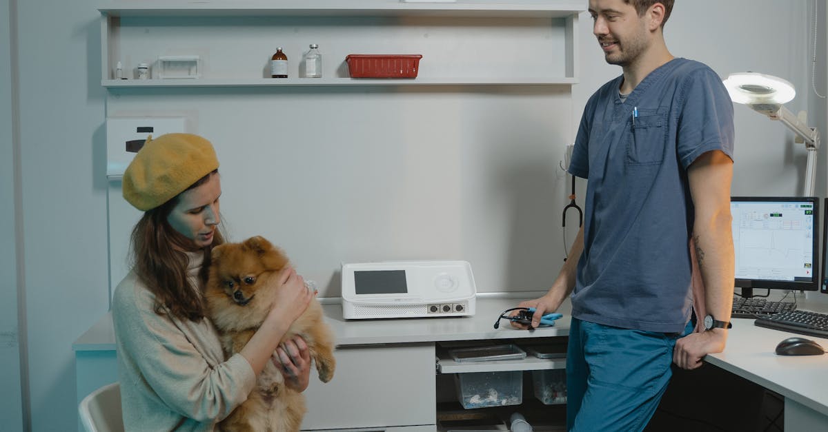 Tierarzt: Wichtige Tipps zur Pflege Ihres Haustieres