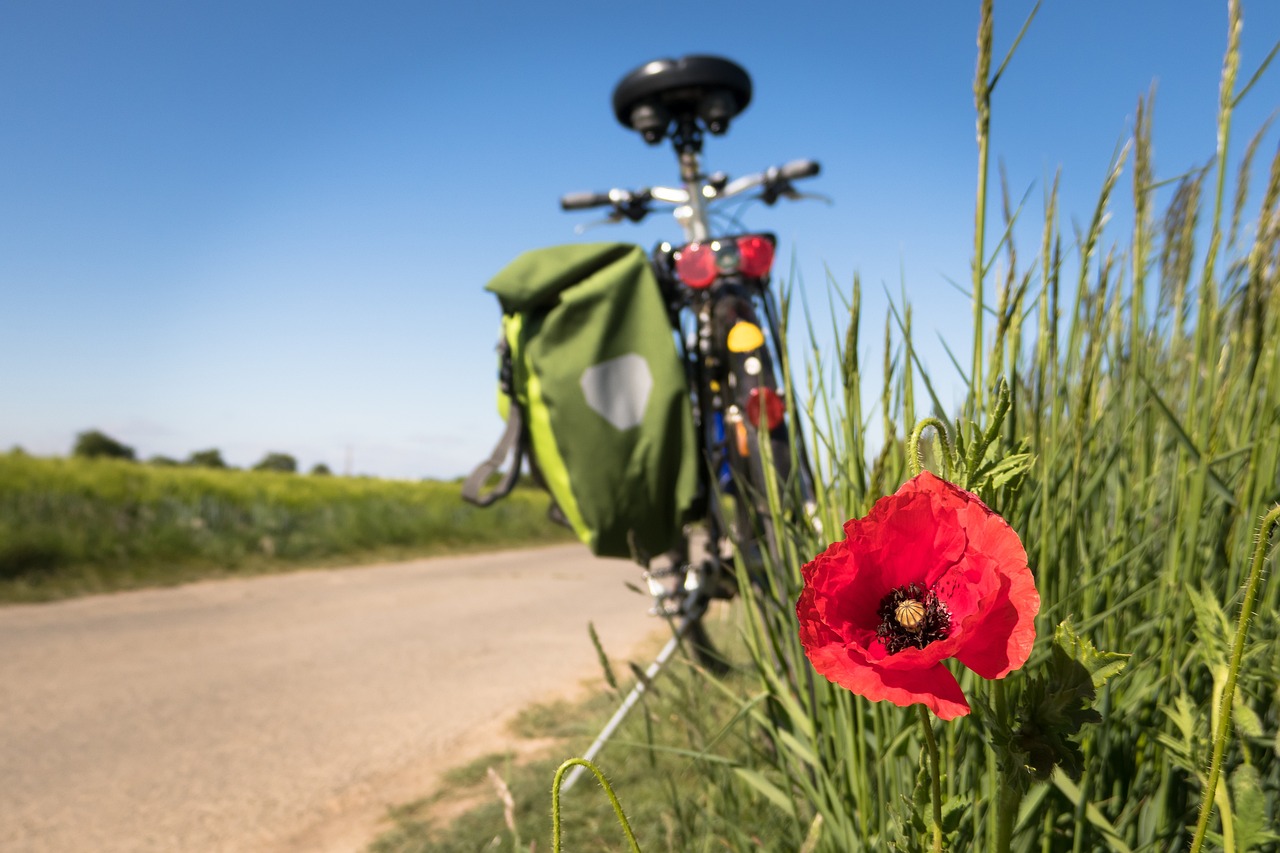 entdecken sie aufregende outdoor-aktivitäten für jedes alter und niveau! von wandern über radfahren bis hin zu aufregenden wassersportarten – genießen sie die natur und erleben sie unvergessliche abenteuer im freien.