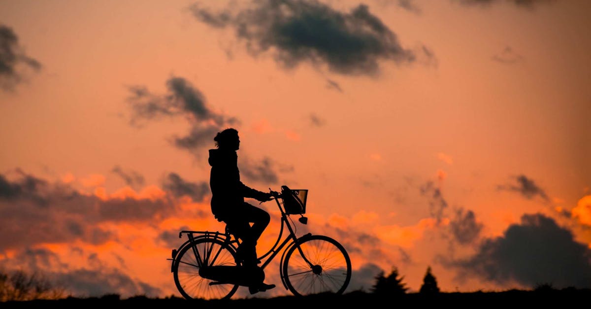 entdecken sie die aufregende welt des abenteuerfahrradfahrens. erleben sie unvergessliche trails, atemberaubende landschaften und spannende herausforderungen auf zwei rädern. bereiten sie sich auf ihr nächstes großes abenteuer vor und finden sie wertvolle tipps für ihre nächsten radtouren.