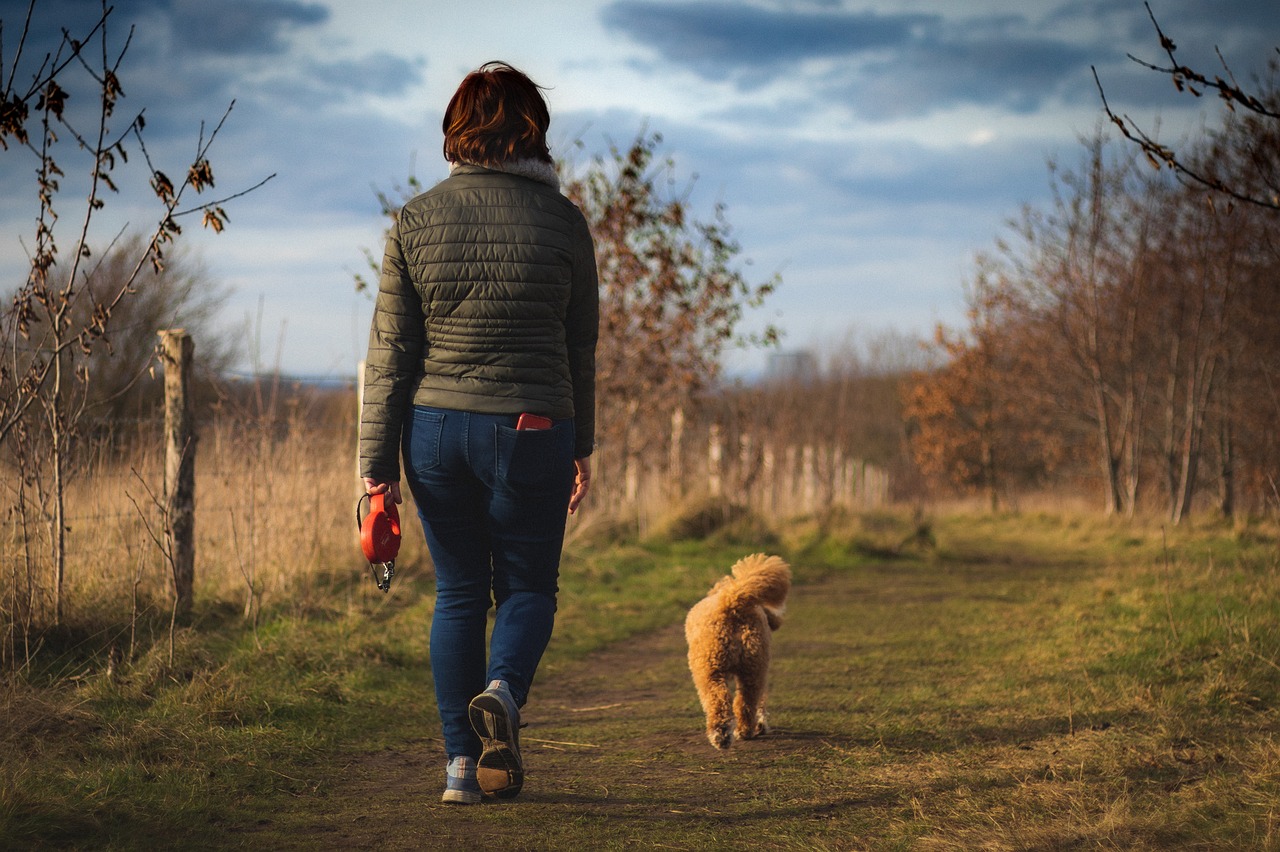 entdecken sie die schönheit der natur bei einem unvergesslichen spaziergang. genießen sie die frische luft, die lebendige flora und fauna und lassen sie den alltagsstress hinter sich. ein naturspaziergang ist die perfekte möglichkeit, sich zu entspannen und neue energie zu tanken.