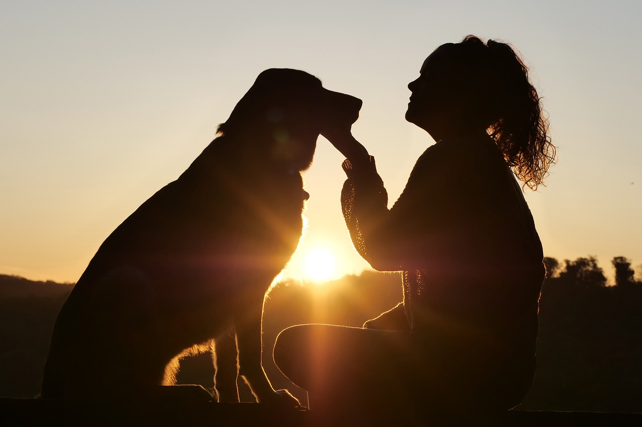 entdecken sie die welt der haustiere – tipps, pflegehinweise und ratgeber für glückliche und gesunde tiere. finde alles, was du für deine pelzigen freunde benötigst!