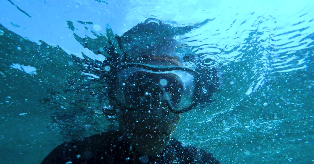 Abenteuerliche Erfahrungen im Unterwasserurlaub