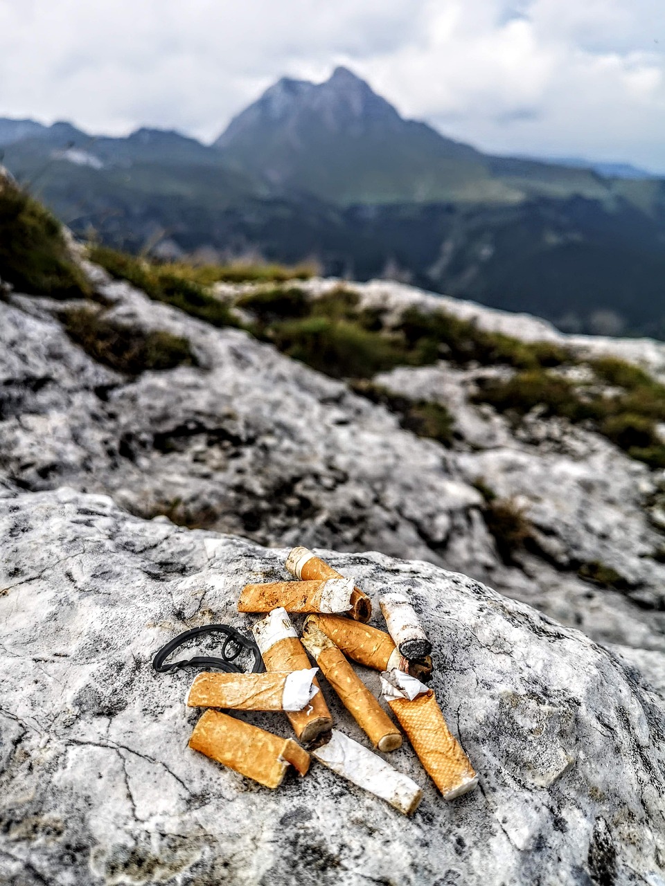 Erfolgreich gewohnheiten ändern für mehr wellness