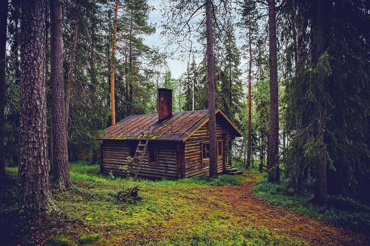 entdecken sie, wie sie ihr zuhause gesünder gestalten können! tipps und ratschläge für eine bessere luftqualität, nachhaltige materialien und ein harmonisches raumklima.