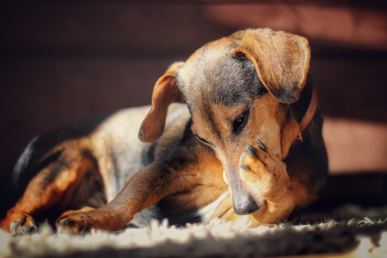 entdecken sie die kraft der selbstliebe: tipps und techniken, um ihr selbstwertgefühl zu stärken und ein erfülltes leben zu führen. lernen sie, sich selbst zu akzeptieren und zu schätzen!