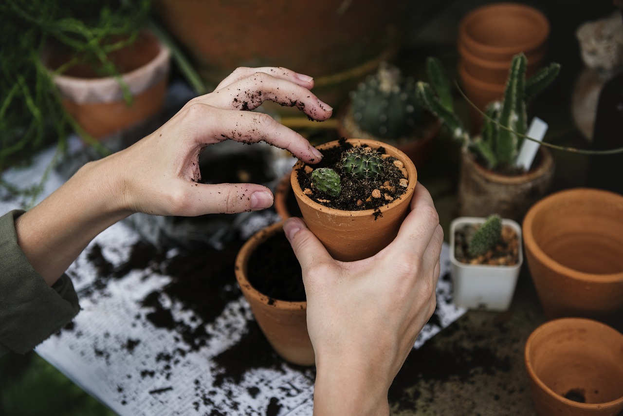 entdecken sie die welt des urban gardening! gestalten sie ihren eigenen grünen rückzugsort in der stadt und erfahren sie, wie sie mit wenigen ressourcen frische kräuter, gemüse und blumen anpflanzen können. perfekt für stadtbewohner, die natur in ihr leben integrieren möchten.