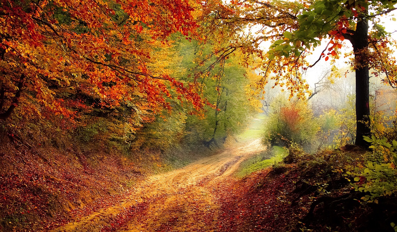 entdecken sie die faszinierende welt der natur mit atemberaubenden landschaften, vielfältiger flora und fauna sowie inspirierenden erlebnissen im freien. lassen sie sich von der schönheit der natur verzaubern!