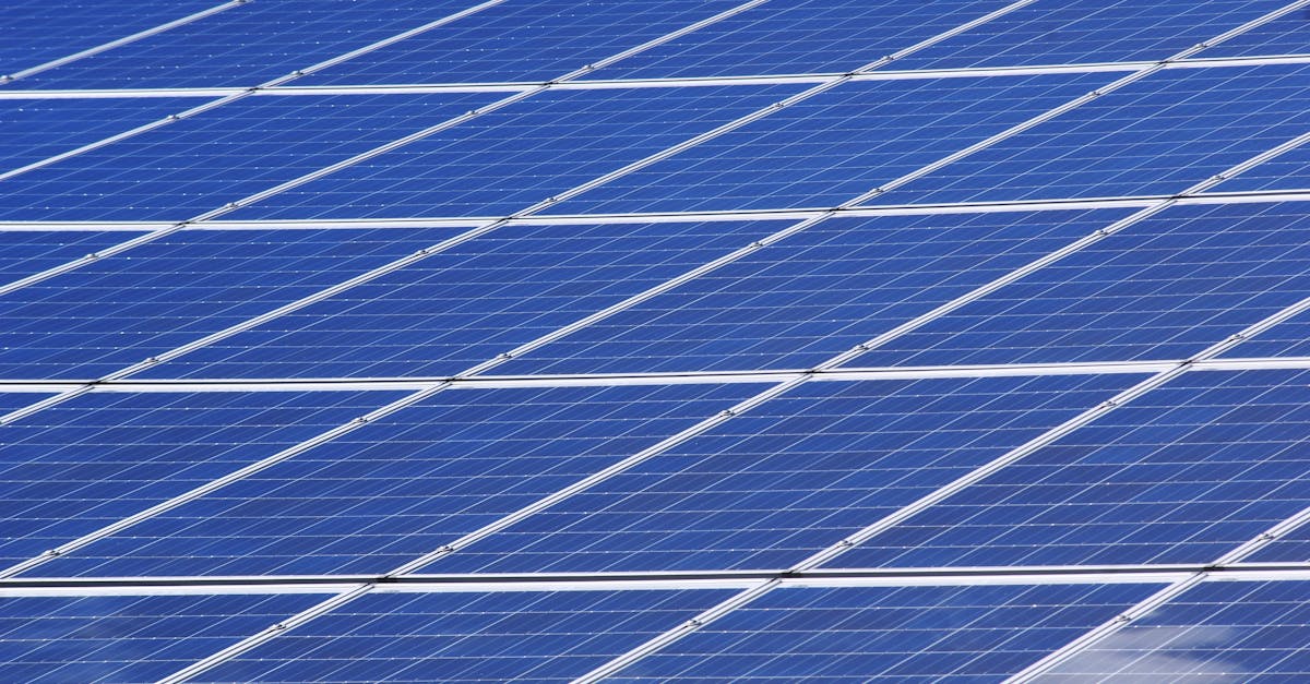 erfahren sie, wie nachhaltigkeit in unserem alltag umgesetzt werden kann. entdecken sie tipps, strategien und lösungen für ein umweltfreundlicheres leben und fördern sie einen positiven einfluss auf unseren planeten.
