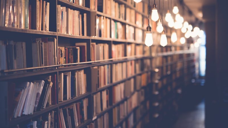 Demokratie und Konflikte: Wie politische Bildung in Schulen gefördert werden kann