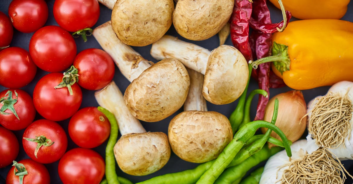 Kochen mit Kindern: Spaß und Kreativität in der Küche entdecken