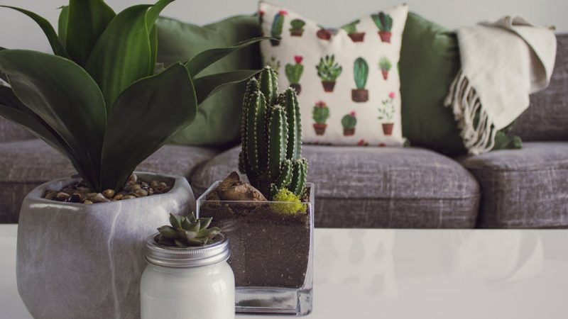 Zuhause einrichten: Tipps und Ideen für eine harmonische Gestaltung
