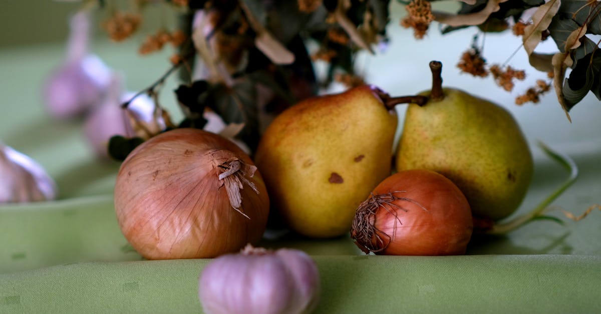 erfahren sie alles über check-ups: warum regelmäßige gesundheitsuntersuchungen wichtig sind, welche leistungen dazugehören und wie sie ihre vorsorge optimal gestalten können.