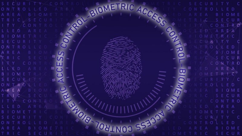 Borns IT- und Windows-Blog: Alles rund um IT-Themen, Cybersicherheit und mehr!