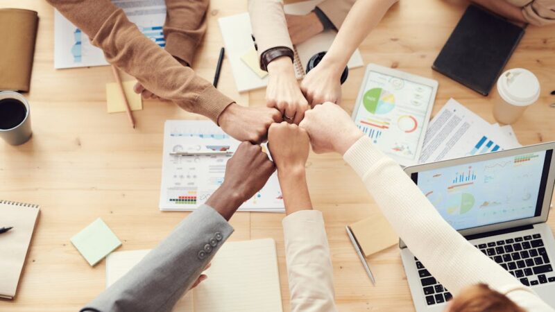 Technologiepartner: So wählen Sie den richtigen Partner für Ihre digitalen Projekte