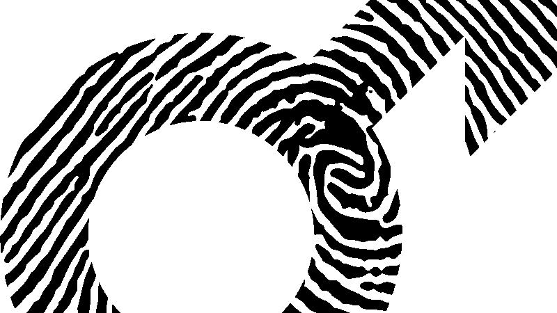 Vielfältige Perspektiven: Ein Blog über Geschlechterrollen und -identität