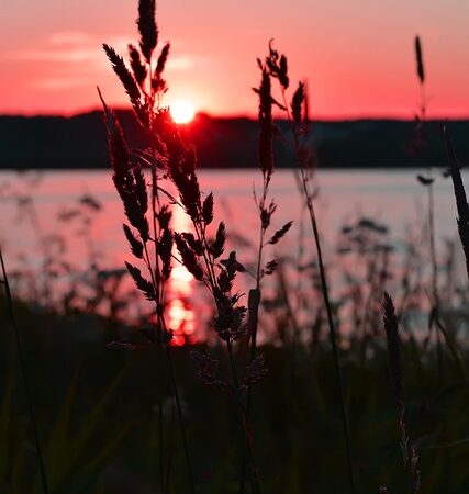 Beruf mit Abenteuerlust: Die Welt der Adventurepreneure entdecken