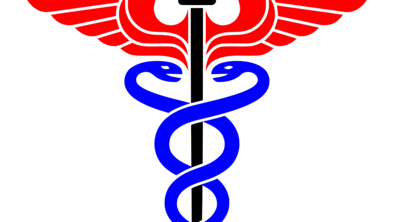 Aktuelle Entwicklungen in der Bundespolitik: Erneuter Vorschlag zur Reform von Paragraf 218