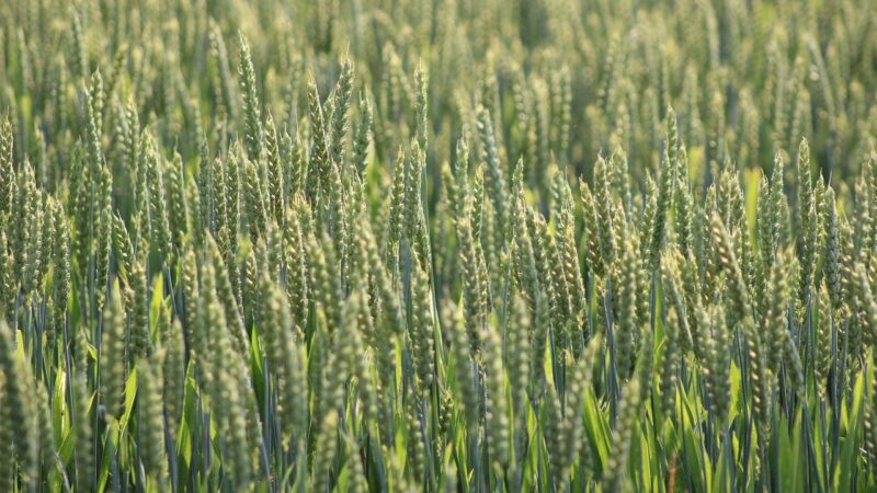 Öko trifft Lifestyle: Wie die Modemarke Twothirds nachhaltiges Wachstum revolutioniert