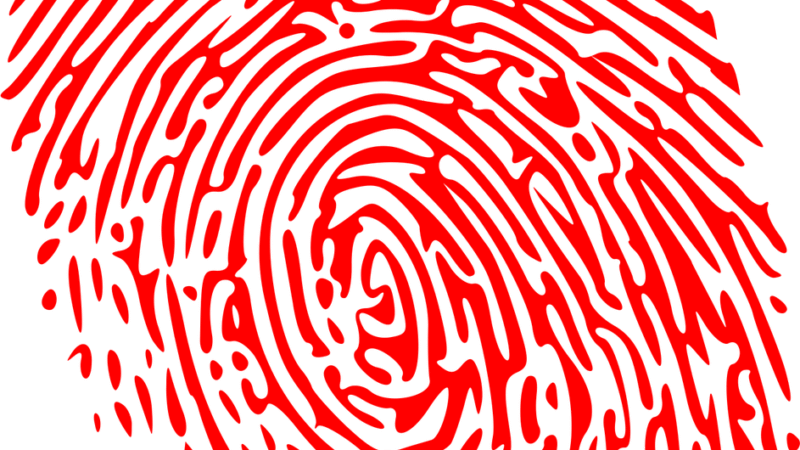 Meinungen von Klima- und Digitalexpert:innen zum Koalitionsvertrag: Chancen und Herausforderungen im Fokus