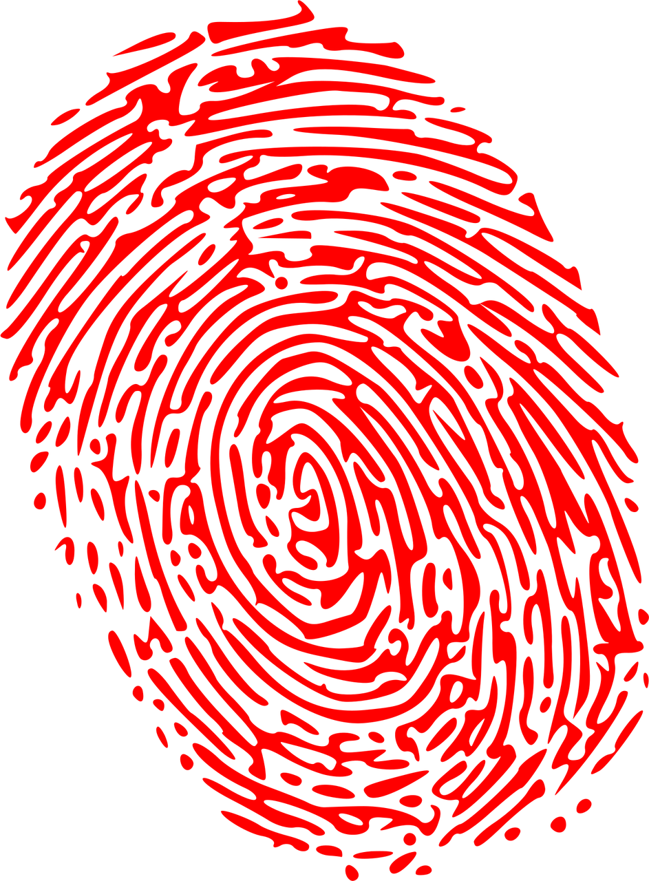 Meinungen von Klima- und Digitalexpert:innen zum Koalitionsvertrag: Chancen und Herausforderungen im Fokus