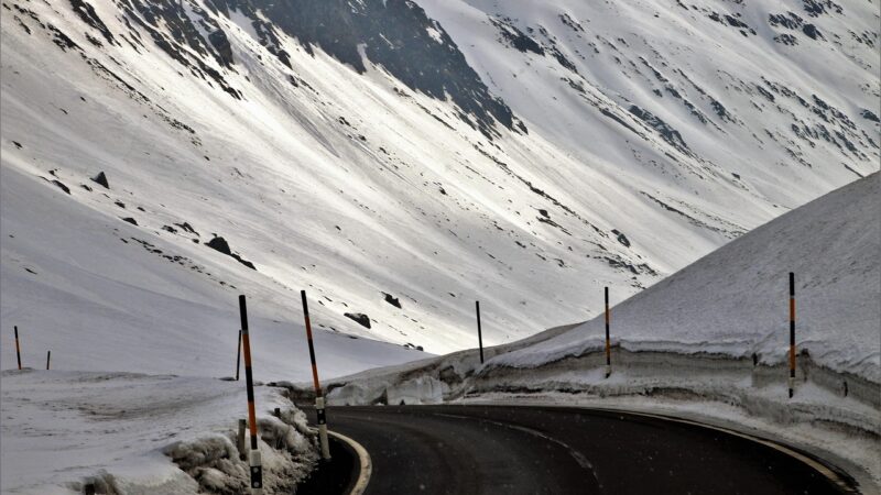 Die Top-Highlights: Die meistgelesenen Artikel im Oktober 2025