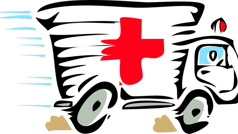 Kliniksterben und &Auml;rztemangel: Eine kritische Analyse unserer Gesundheitsversorgungslage