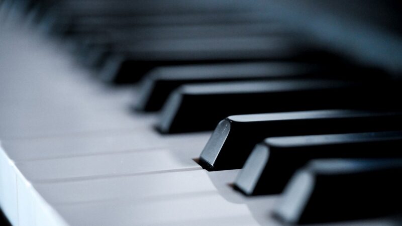 F&uuml;nf Schl&uuml;sselfelder f&uuml;r kleine und mittlere Genobanken im Jahr 2026