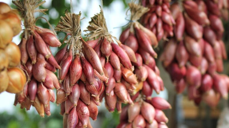 Deutschland-Blog: Dobrindt und Bilger erwarten kaum Unterst&uuml;tzung der CDU f&uuml;r den Vorschlag zur &sbquo;Lifestyle&lsquo;-Teilzeit