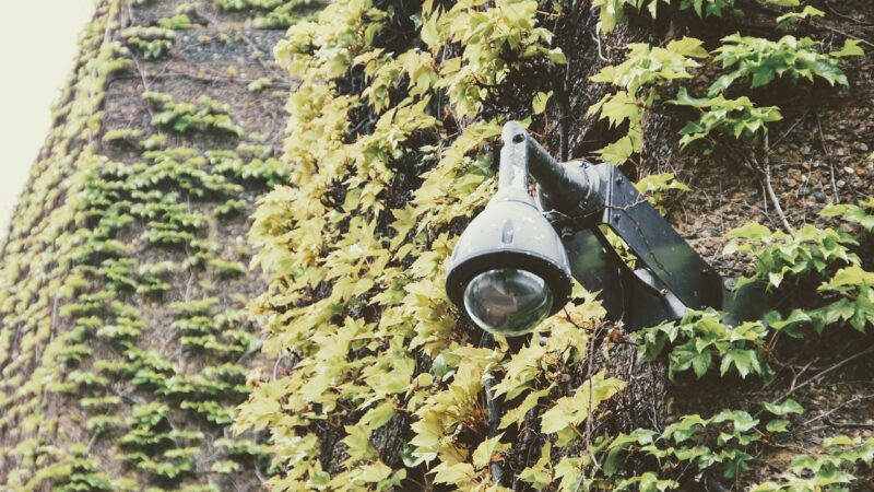 Deutschland-Blog: Verfassungsschutz nimmt AfD Niedersachsen k&uuml;nftig unter Beobachtung