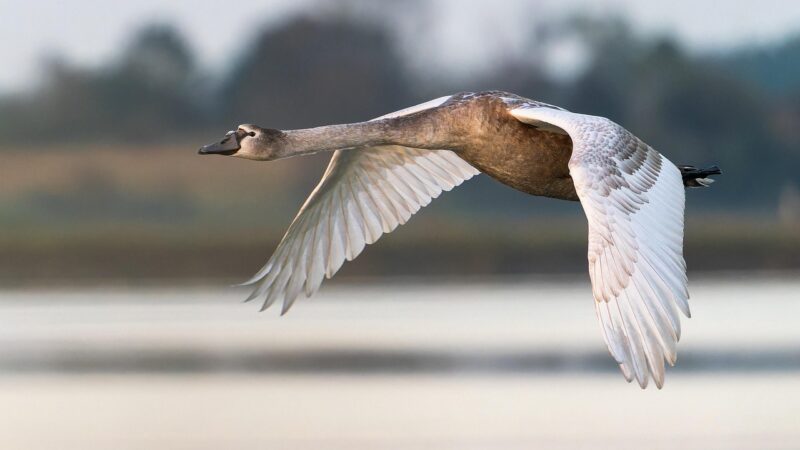 Deutschland-Blog: Hubig spricht sich gegen die Strafm&uuml;ndigkeit von Kindern unter 14 Jahren aus